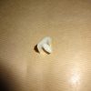 Clips Opel Rekord C, Commodore A, tröskellist nederst. Ref.nr. Opel 164971